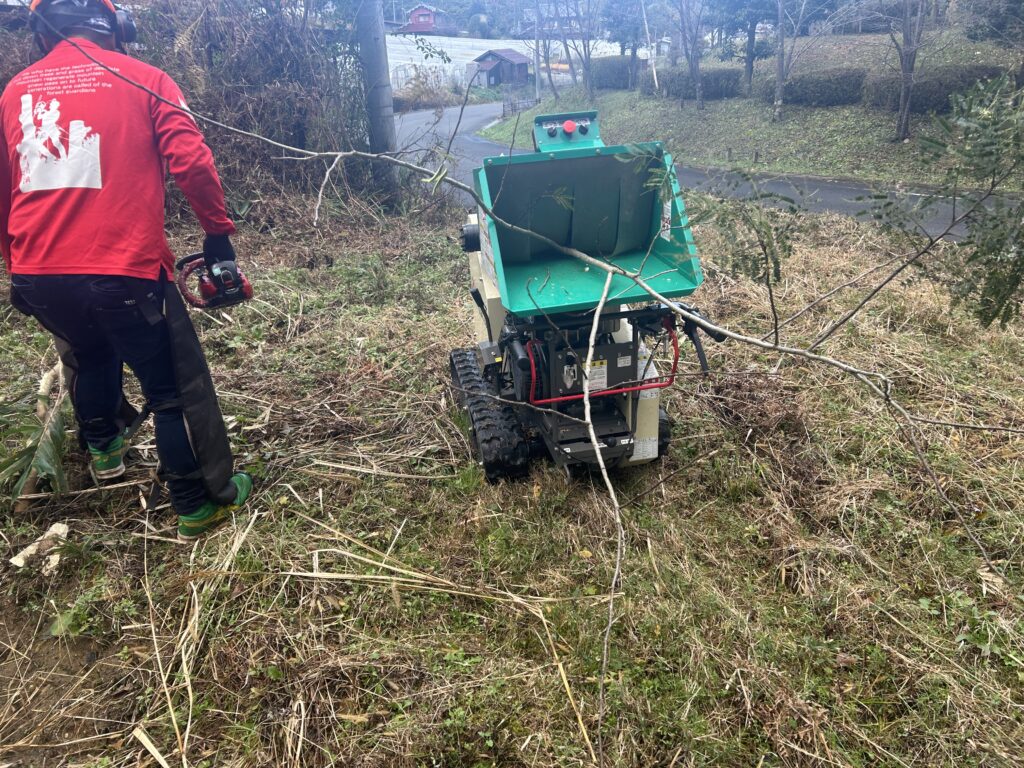 庭木の伐採・枝打ち作業